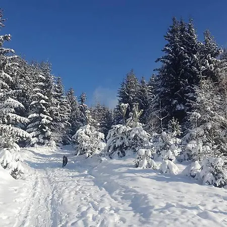 Horehronsky Dvor Villa *